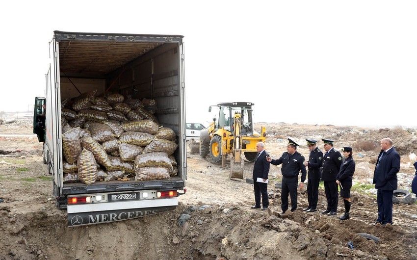 Sumqayıtda tərkibində zərərverici orqanizmlər olan 26 ton kartof məhv edilib