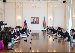 Проходит встреча президента Азербайджана с премьер-министром Словакии в расширенном составе
