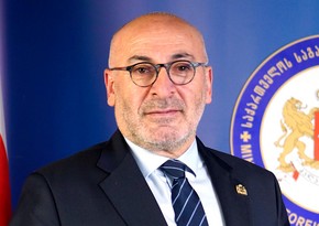 Посол Грузии во Франции подал в отставку из-за законопроекта об иноагентах