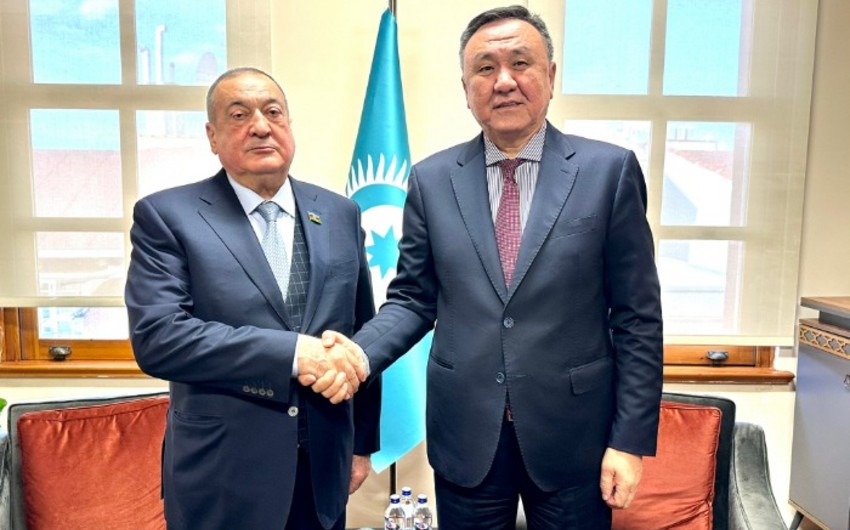 OTS chief meets with chairman of Azerbaijan's Council of Elders