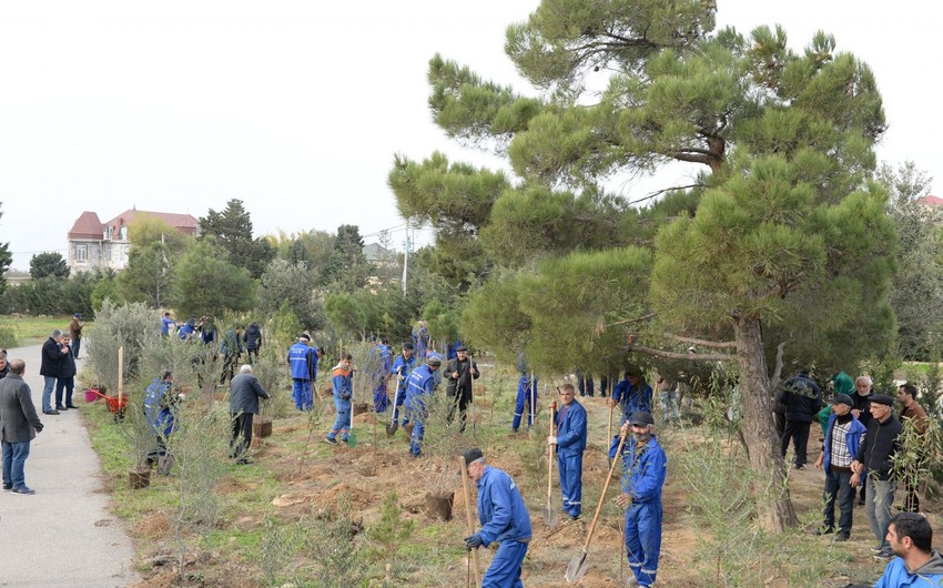 Bakıda Yeni illə bağlı iməclik keçiriləcək