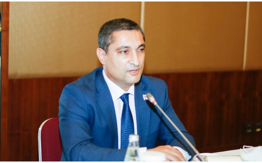 Солтан Мамедов призвал ПА Евронест поддержать опыт Азербайджана