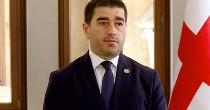 Грузинский спикер ответил на угрозы сенаторов США изменить политику в отношении Тбилиси