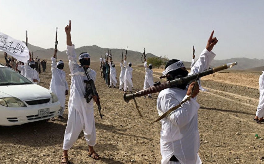 США возобновят переговоры с Талибаном