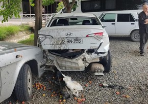 Şəmkirdə 2 avtomobil toqquşub, 4 nəfər xəsarət alıb 