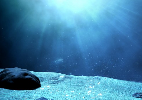На дне Тихого океана обнаружили вырабатывающие кислород минералы