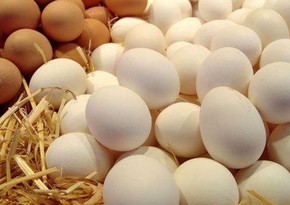 Поставки в Россию куриных яиц из Азербайджана достигли 3,3 млн штук