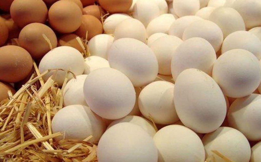 Azerbaijan sends 3.3M eggs to Russia 