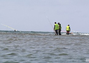 Azerbaijan to ban industrial fishing from April 1