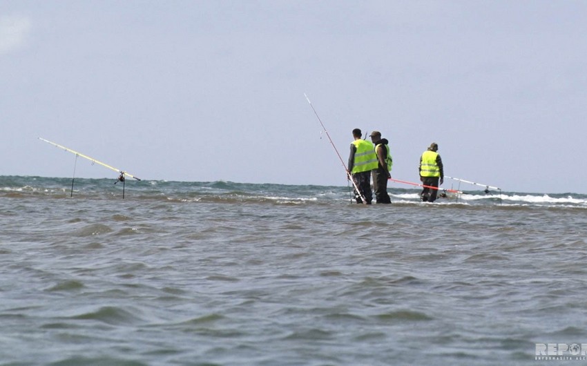 В Азербайджане с 1 апреля вводится мораторий на промышленный вылов рыбы