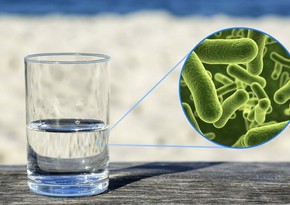 Dangerous bacteria detected in drinking water in France
