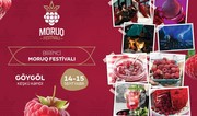 Azerbaijan to host first-ever 'Raspberry Festival' in coming days