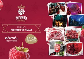 Azərbaycanda ilk dəfə “Moruq Festivalı” keçiriləcək