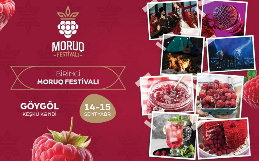 Azərbaycanda ilk dəfə “Moruq Festivalı” keçiriləcək