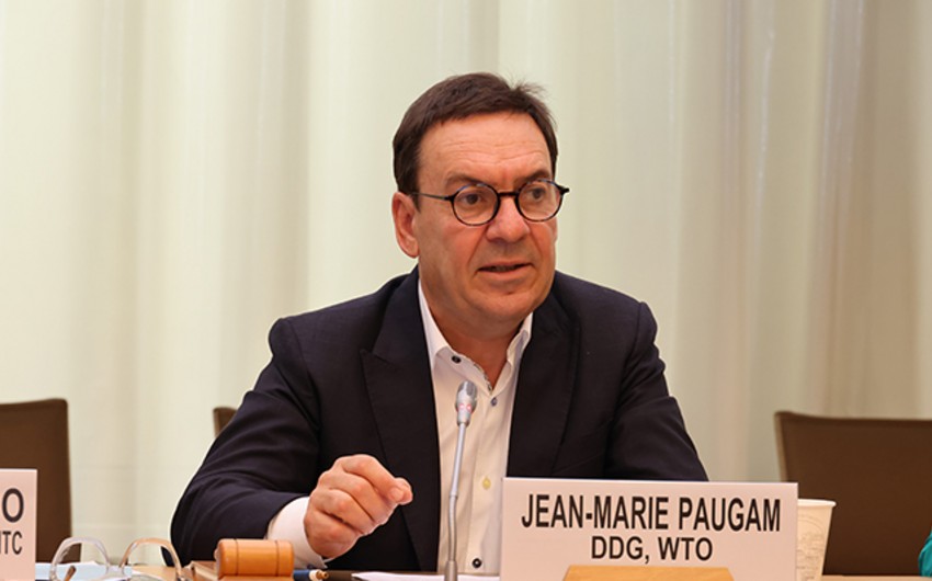 Jean-Marie Paugam: Trade can stimulate spread of green technologies