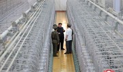 Yonhap: N. Korea publicly discloses uranium enrichment facility for 1st time