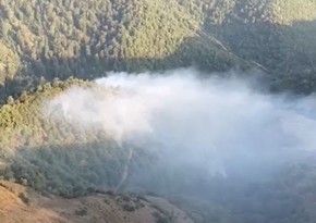 Firefighters battle to put out forest fire in Azerbaijan's Lerik