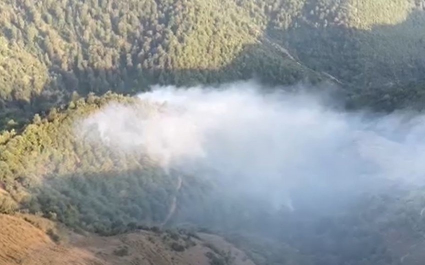Firefighters battle to put out forest fire in Azerbaijan's Lerik