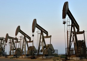 SOCAR's subsidiary company imports about 73,000 tons of oil products