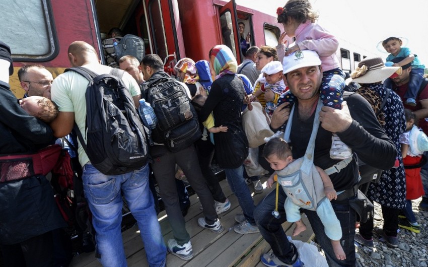 Около 5 тыс. мигрантов на границе Хорватии с Сербией штурмуют поезда до Загреба