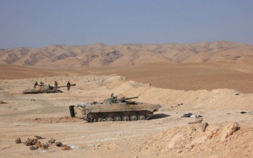 Syrian forces 'enter Palmyra'