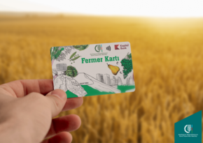 В Азербайджане фермерам выплачено более 30 млн манатов в виде субсидий