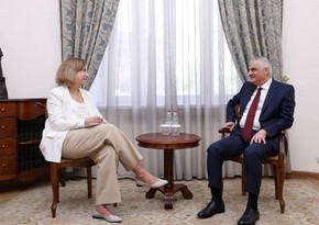US ambassador, Armenian deputy PM mull demarcation process