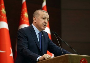 Эрдоган: Целью Турции является международная интеграция Северного Кипра