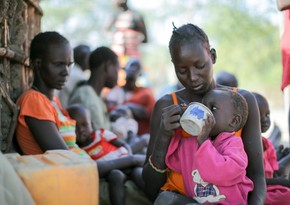 UN: 815 million people in world suffering from hunger