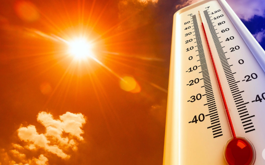 В Швеции зафиксировали рекордную за 30 лет жару