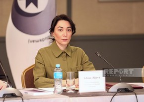 Ombudsman: 'Armenia's mine terrorism prevents full protection of rights of our citizens'
