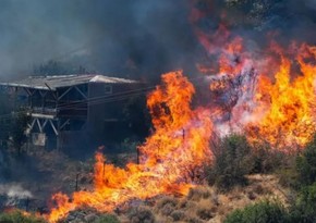 Лесные пожары в Измире достигли жилых кварталов, начата эвакуация