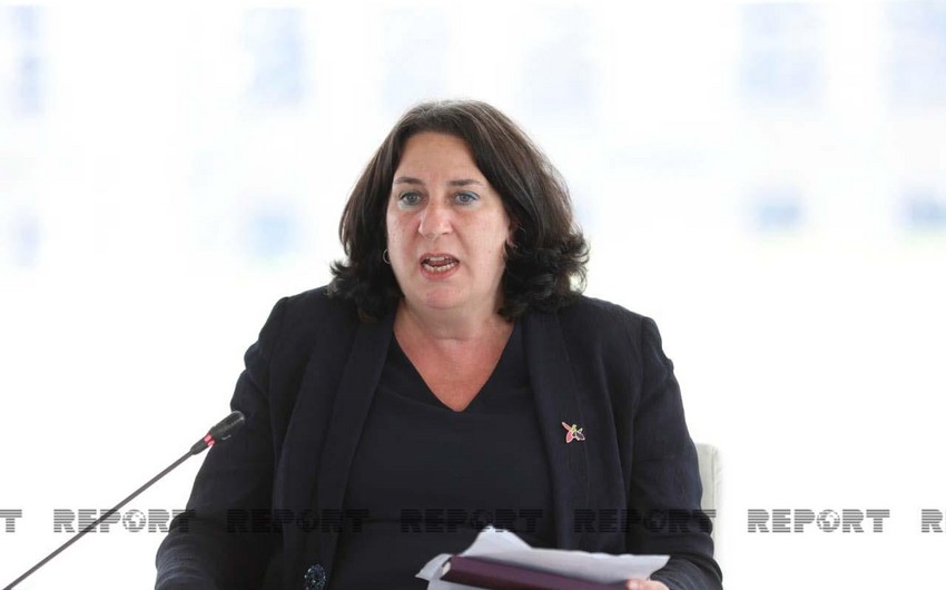 Brenda Shaffer: Azerbaijan's anti-terrorism measures have led to strategic changes