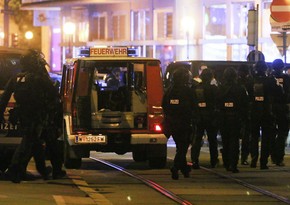 Результаты расследования теракта в Вене представят до Рождества