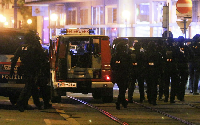 Результаты расследования теракта в Вене представят до Рождества