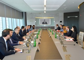 Azerbaijan explores diversification of its economy with WTO