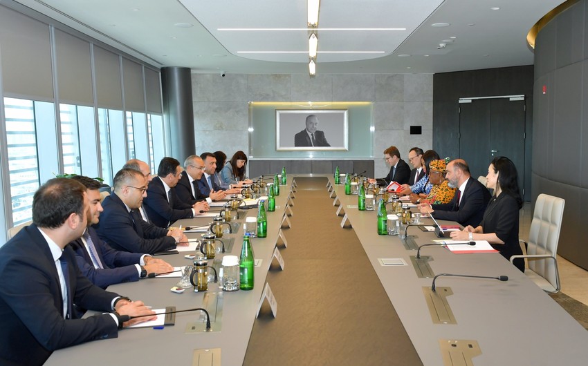 Azerbaijan explores diversification of its economy with WTO