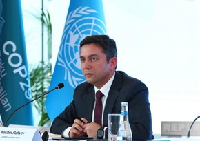 Yalçın Rəfiyev: COP29-la bağlı bütün dövlətlərin konstruktiv yanaşmasını müşahidə edirik