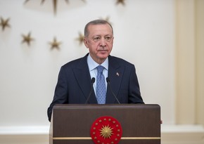 Turkiye purchases half of natural gas from Russia - Erdogan