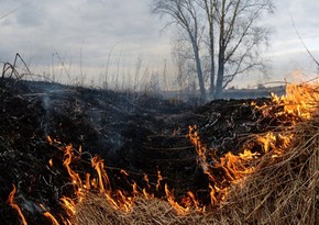 Nazirlik rəsmisi: Azərbaycanda əkin yerlərinin yandırılması kəskin azalıb