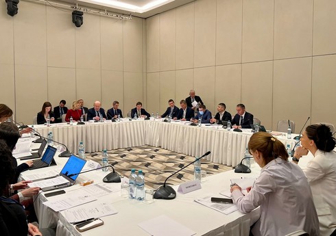Евронест отклонил подготовленную против Беларуси, Азербайджана и Грузии резолюцию