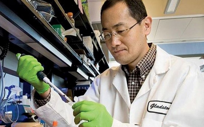 В Японии запускают эксперименты по лечению Паркинсона стволовыми клетками