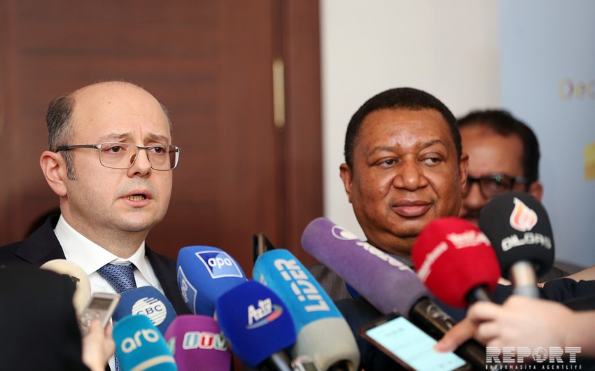 Nazir: “Hazırda Azərbaycan və OPEC arasında sıx əməkdaşlıq var”