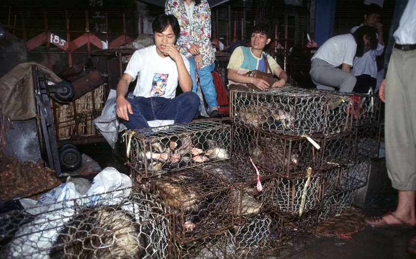 СМИ: В ВОЗ связывают появление COVID-19 с торговлей животными в Китае
