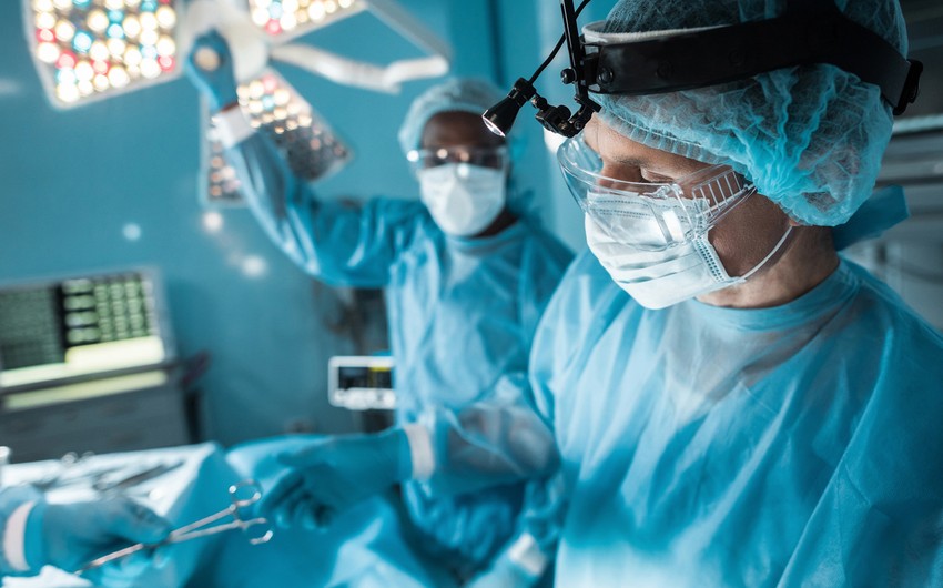 Хирурги впервые в мире успешно пересадили свиную почку живому пациенту