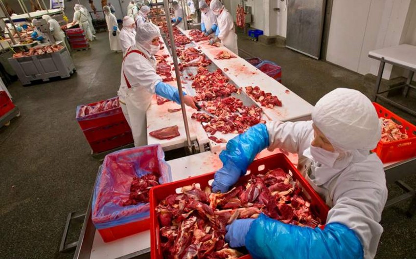 ​Россия провела переговоры с Азербайджаном об экспорте мяса