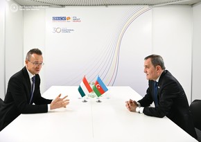 Главы МИД Азербайджана и Венгрии обсудили вопросы региональной и международной безопасности