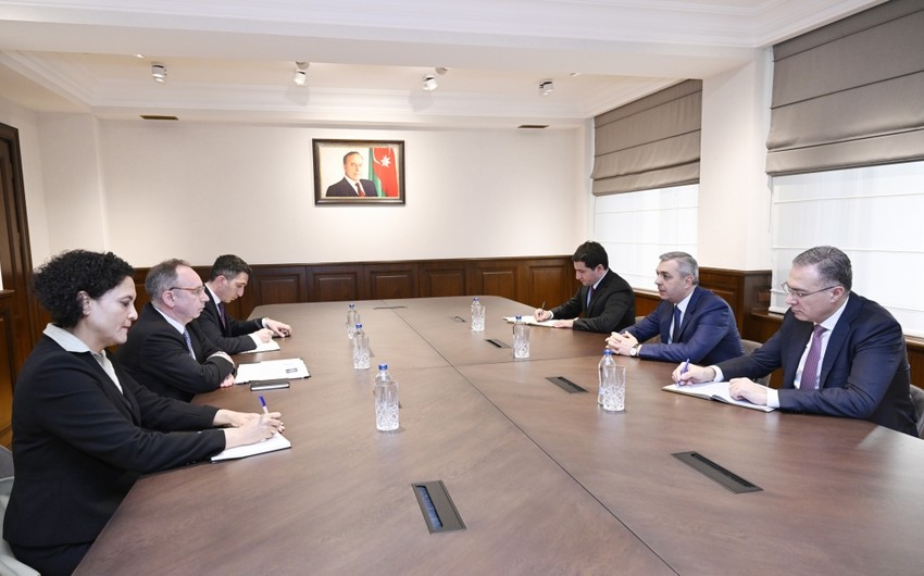 Samir Nuriyev informs general director of ADB regional department about preparations for COP29