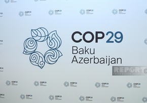 COP29 logo made public