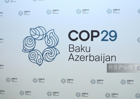 Запущен официальный сайт COP29